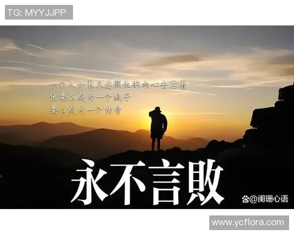 专访篮球名将吴伟深度剖析成功背后的秘诀与心路历程