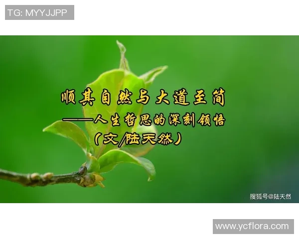 张军的排球人生：从赛场到人生的深度对话与思考