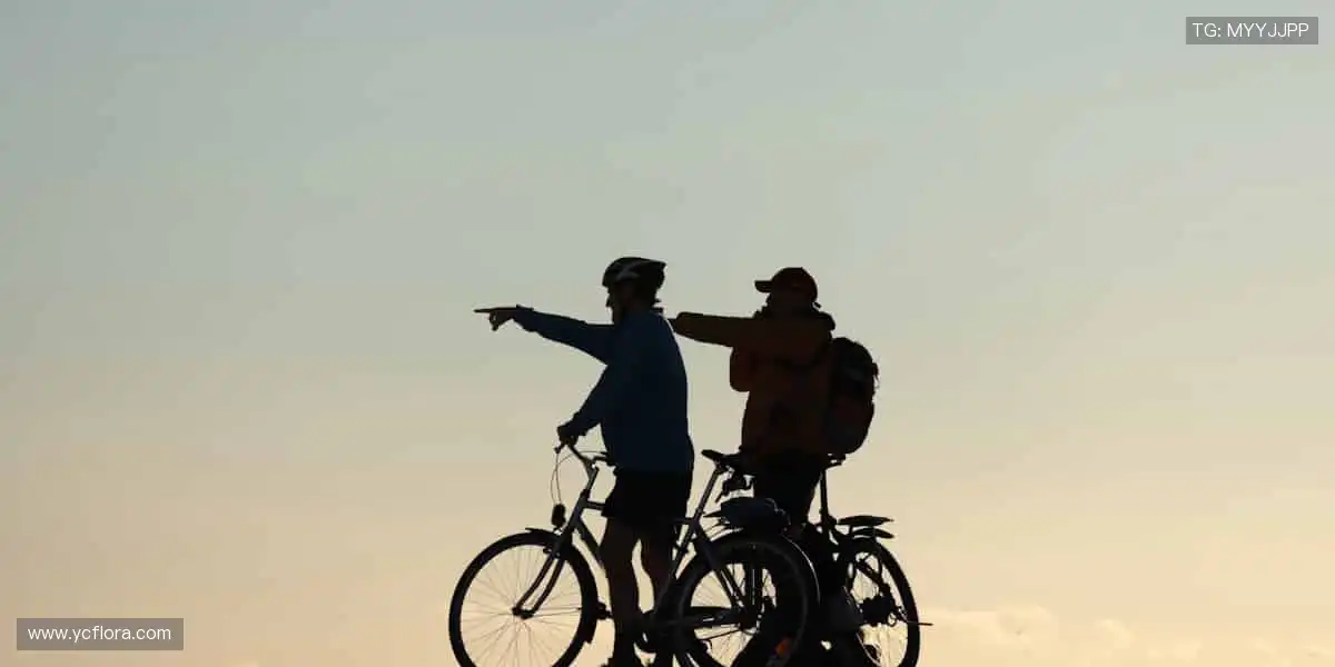 📱高清直播直击，让热爱零距离！